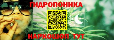 спайс Обь