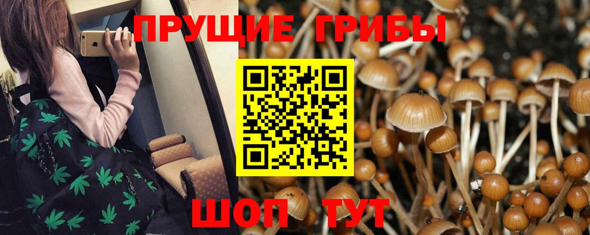 Псилоцибиновые грибы мухоморы Похвистнево
